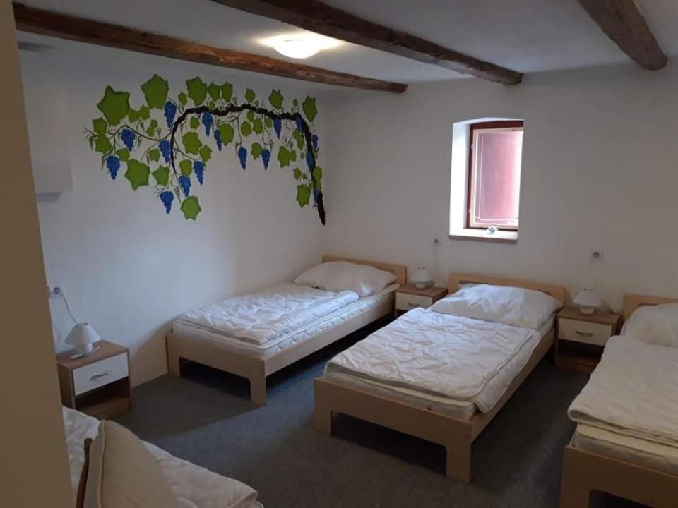Penzion Na Vyhlidce Cejkovice  Ngoại thất bức ảnh
