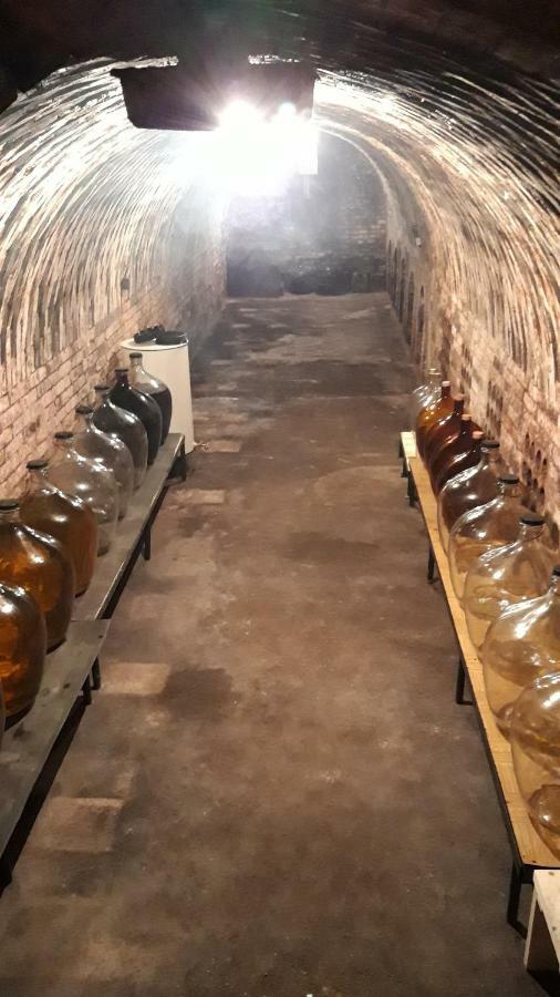 Penzion Na Vyhlidce Cejkovice  Ngoại thất bức ảnh